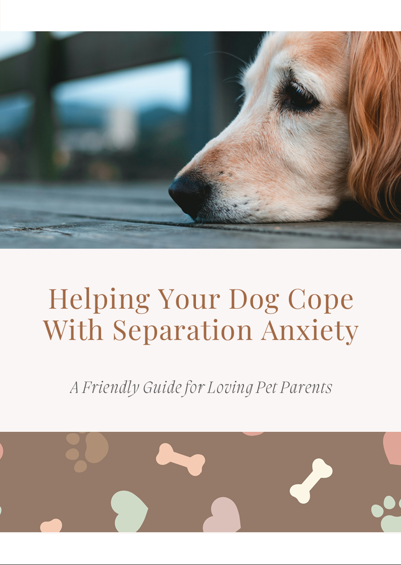 Helping Your Dog Cope with Separation Anxiety